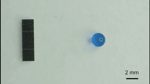 2.gif